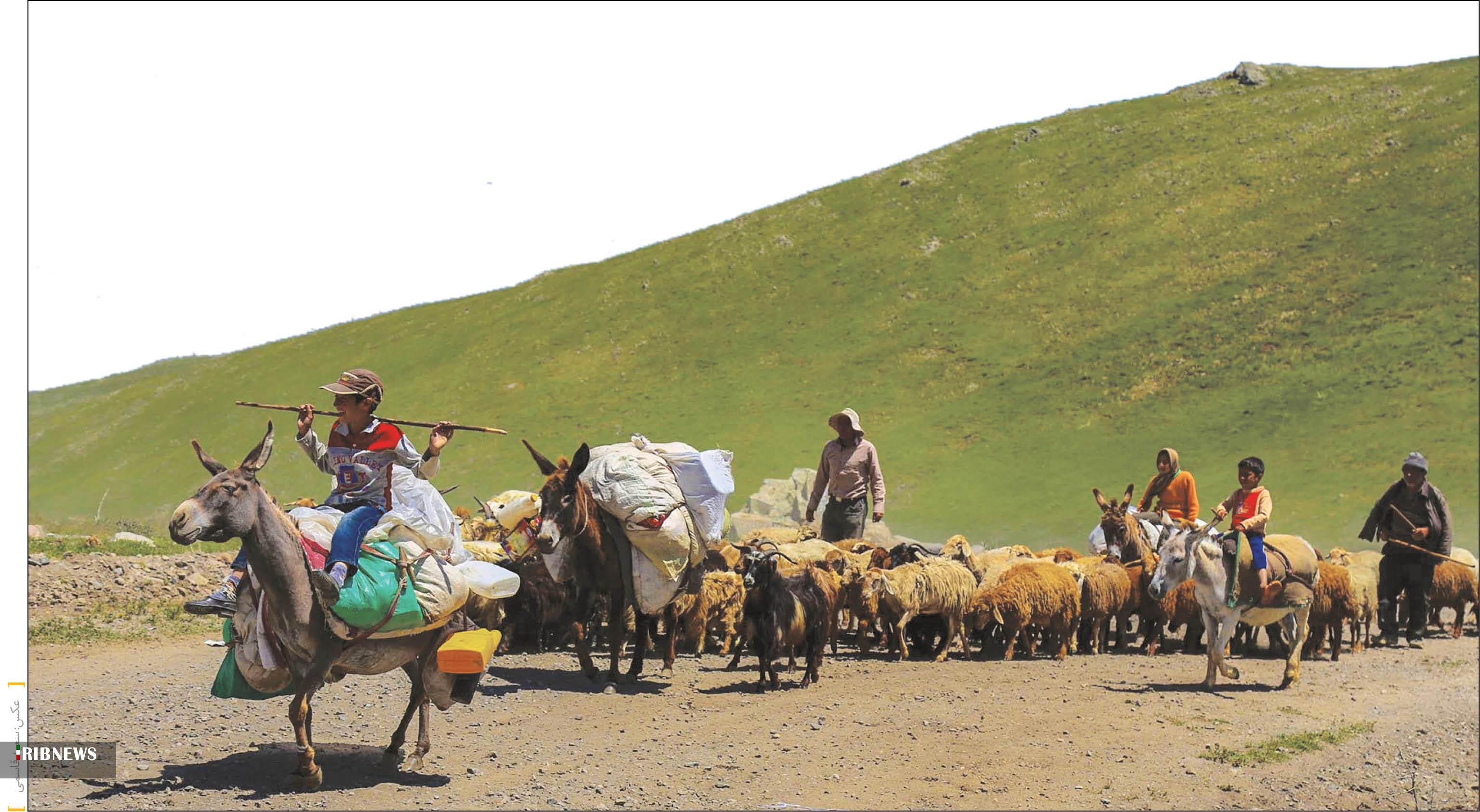 مجوز کوچ گرمسیری عشایر صادر شد