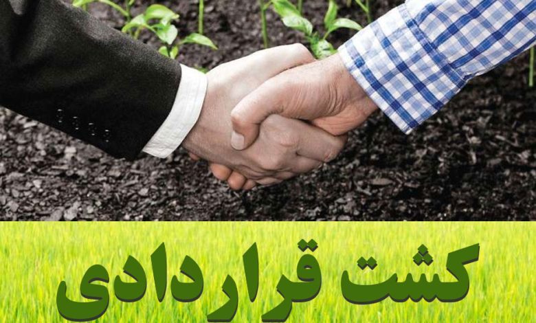 آغازکشت قراردادی در کرمانشاه متناسب با شرایط اقلیمی منطقه