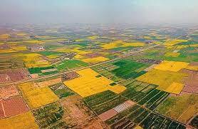 تجمیع ۴۲۱ هکتار از اراضی کشاورزی آذربایجان غربی
