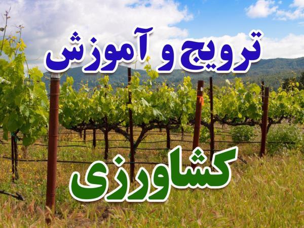 کارگاه آموزش کشاورزی در ارسنجان