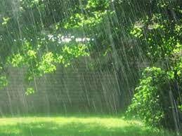 ثبت بیشترین بارندگی در پارسیان