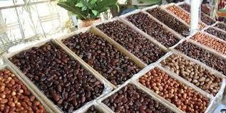 اعلام علت تاخیر در خرید خرمای پارسال بوشهر