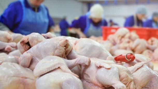 افزایش ۲ هزار و ۵۰۰ تنی تولید گوشت مرغ در استان همدان
