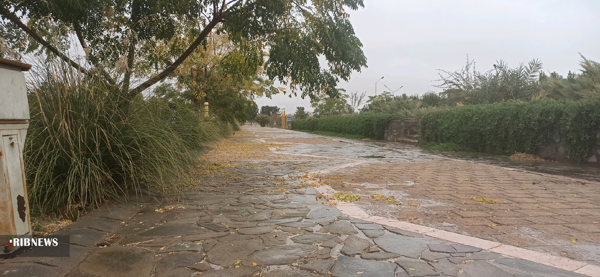 بارش در نیمه جنوبی استان