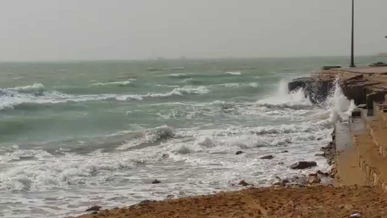 هشدار هواشناسی بوشهر درباره وزش باد‌های شدید شمالی و مواج شدن دریا