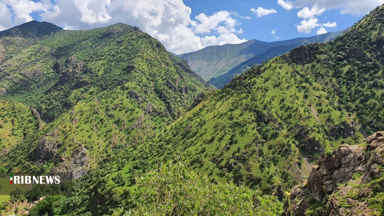 ۳۲۲ هزار هکتار عرصه طبیعی تحت حفاظت محیط‌زیست لرستان