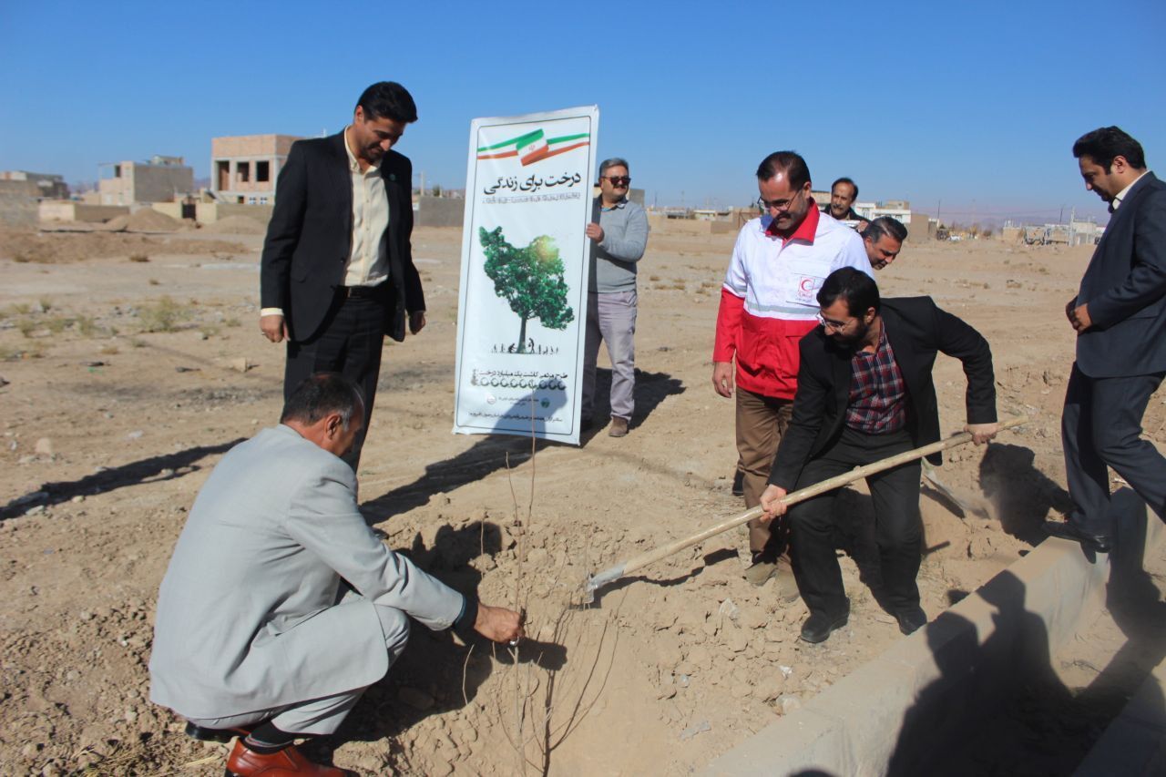 طرح مردمی کاشت 10 هزار اصله درخت در فیروزه
