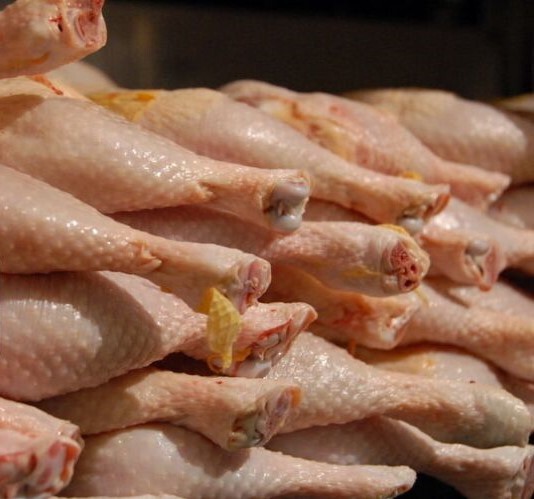 ۸۰ درصد مرغهای تولیدی تربت‌حیدریه در این شهرستان مصرف می‌شود