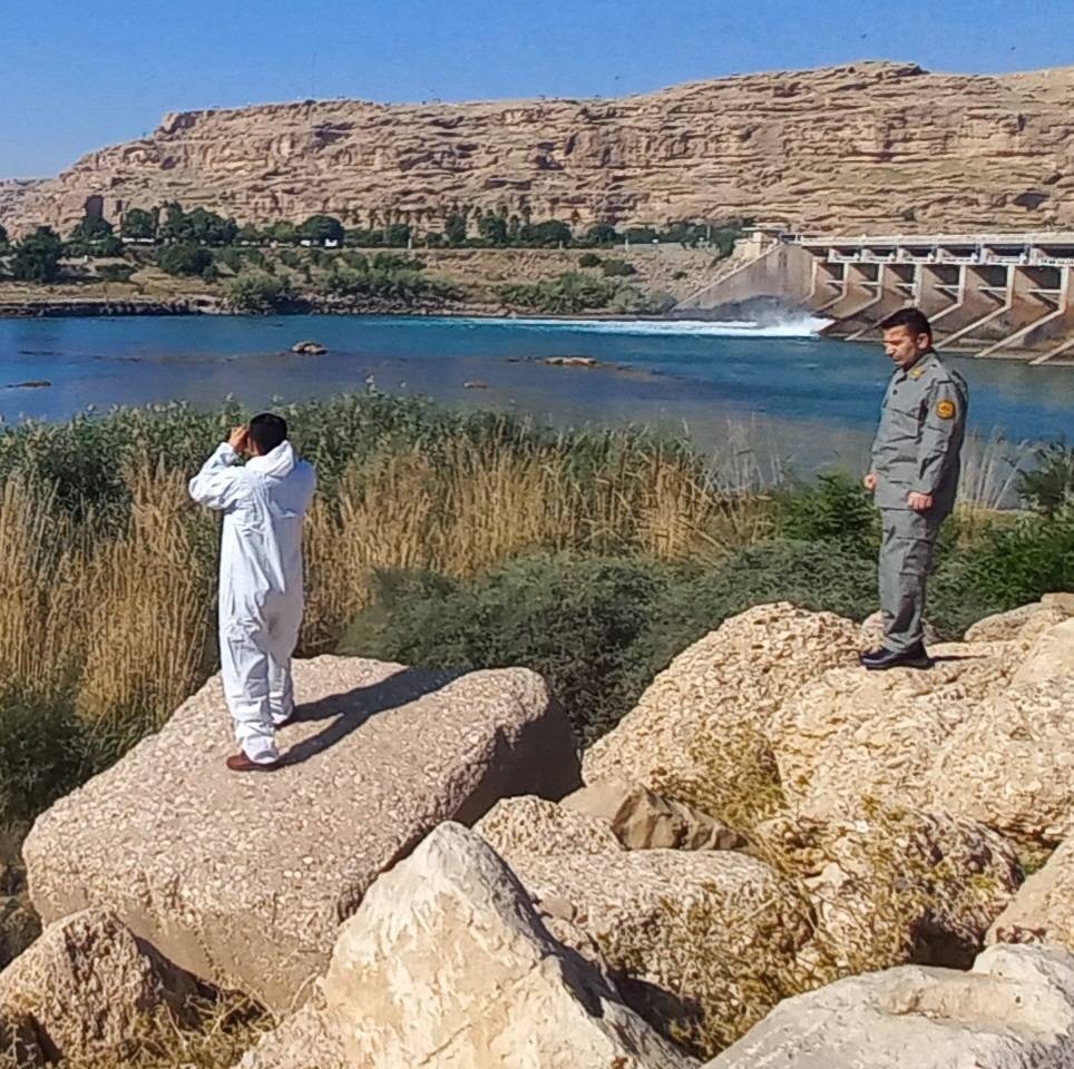 پایش بیماری آنفلوآنزای فوق حاد پرندگان در گتوند