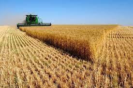 ثبت نام کشت قراردادی محصولات کشاورزی در استان کرمانشاه