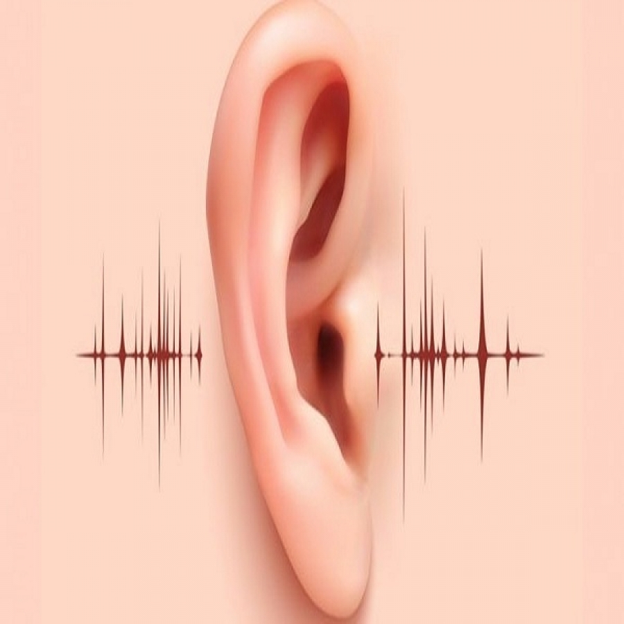 ۶۰ درصد کم شنوایی قابل پیشگیری است