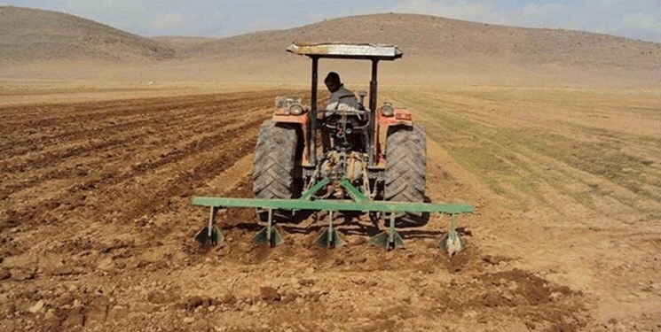 اختصاص بیش از ۵۰۰ هزار هکتار زمین در آذربایجانغربی به کشت پاییزه