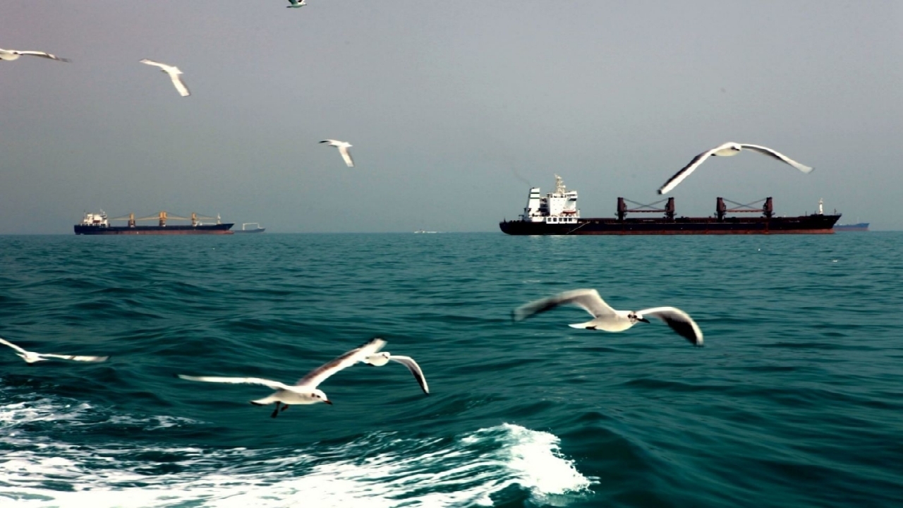 کشف بیش از ۳۵ هزار لیتر سوخت قاچاق در آب‌های خلیج فارس