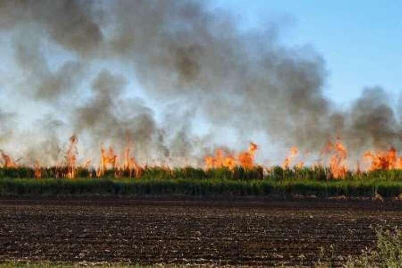 سوزاندن نیشکر و پسماند‌ها عوامل اصلی آلودگی هوای خوزستان