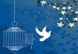 آزادی ۱۵ زندانی از زندان‌های آذربایجان غربی در هفته بسیج