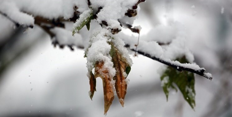 برف و باران اردبیل را در بر می‌گیرد