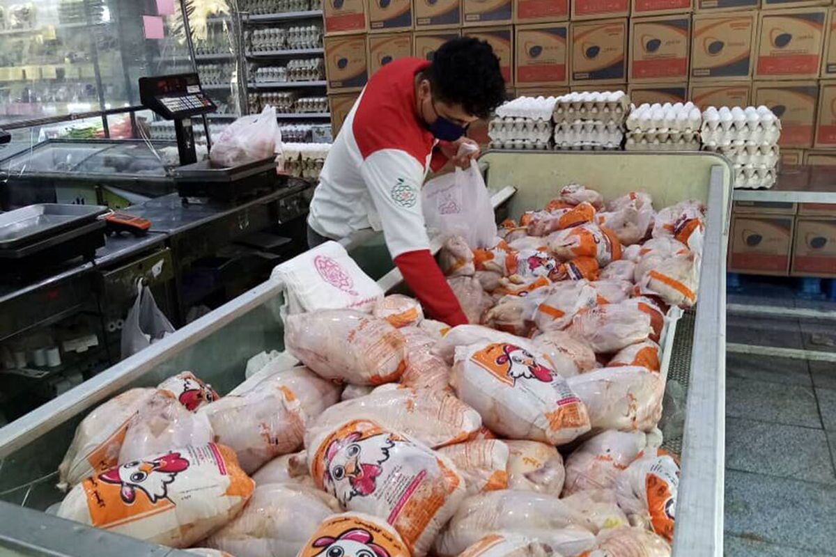 توزیع مستمر مرغ منجمد در استان اردبیل