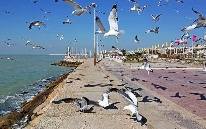 کاهش سرعت باد در استان بوشهر