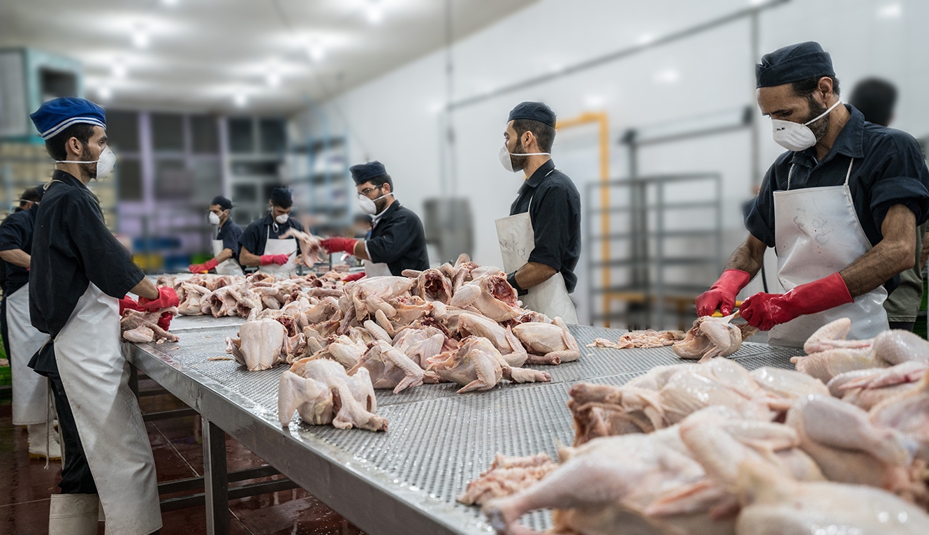 توزیع مرغ گرم در بازار در اراک
