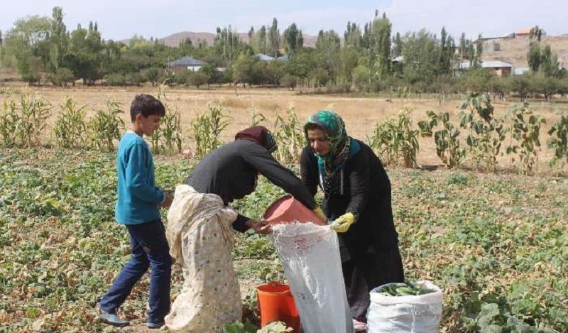 حمایت و توانمندسازی ۸۴۰ نفر از بانوان روستایی اردبیل