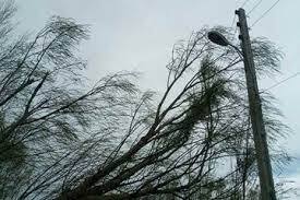 سرعت وزش باد در شهرستان اشنویه به ۷۵ کیلومتر بر ساعت رسید