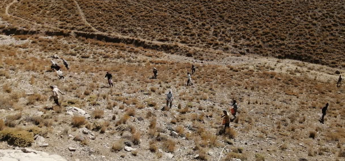 اجرای عملیات بذرپاشی و بذرکاری در اراضی مرتعی شهرستان نیشابور