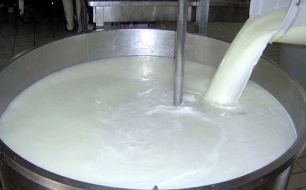 خرید بیش از ۲ میلیون لیتر شیر از دامداران در شهرستان فومن