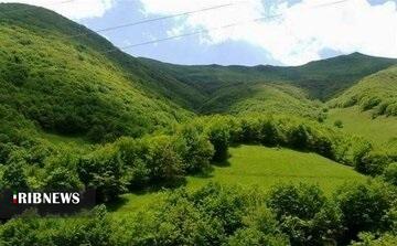  غنی‌سازی ۶۳ هکتار از جنگل‌های استان اردبیل