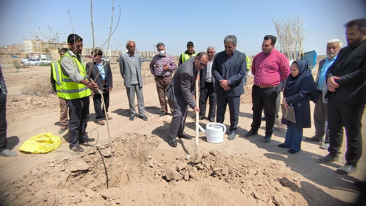آغاز عملیات کاشت ۷۰ اصله درخت روتبال در رضویه