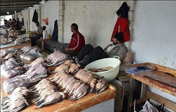 برخورد قضایی با فروشندگان غیرمجاز گوشت پرندگان وحشی در دزفول