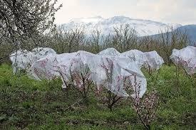 کاهش محسوس دمای هوا در استان یزد