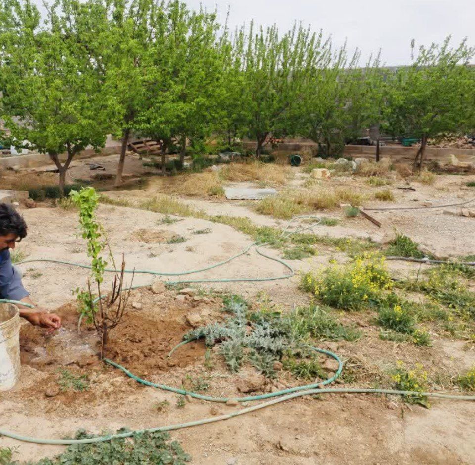 شناسایی انشعابات غیرمجاز آبیاری ۷ باغ در خواف