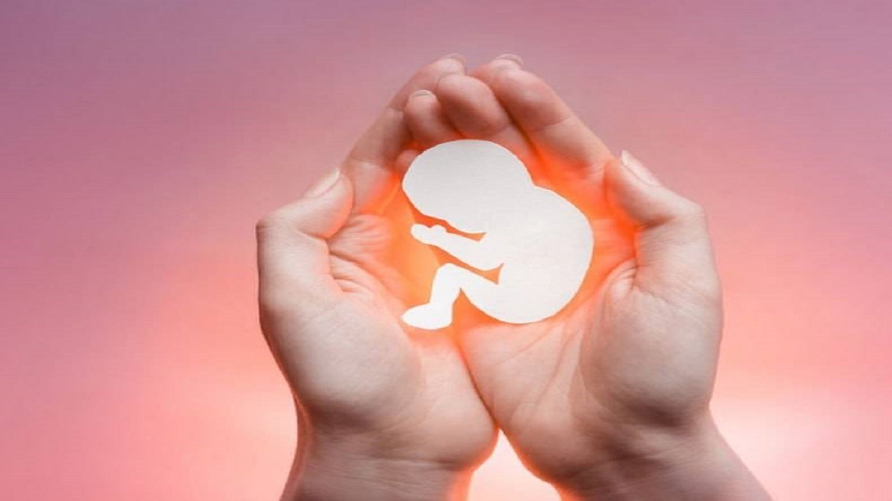 پیشگیری از سقط جنین عمدی از برنامه‌های اولویت دار نظام سلامت است