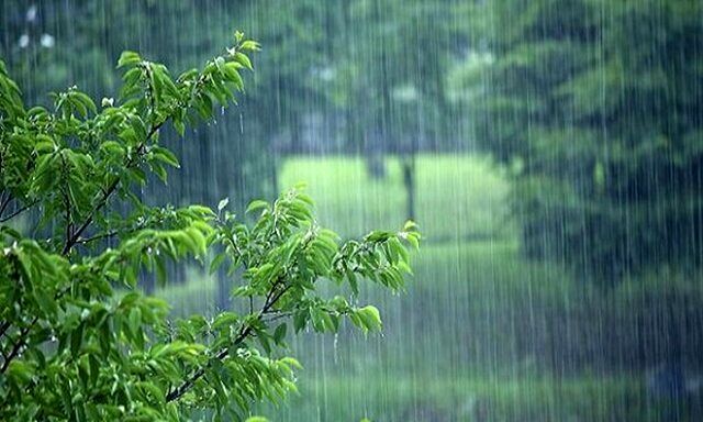 افزایش ۴۸ درصدی میزان بارش باران در تربت‌حیدریه