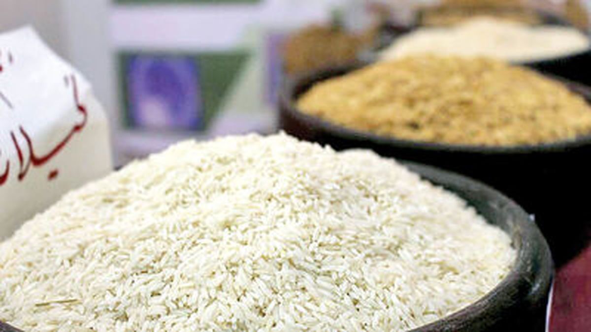 کشف برنج تقلبی در بابل
