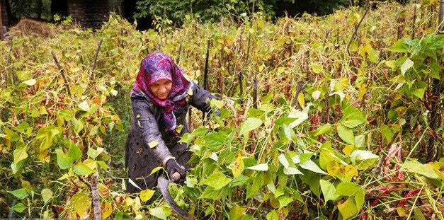 توانمندسازی زنان روستایی، نقش مهمی در توسعه جوامع روستایی دارد