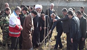 پویش «در سایه مادر» در گیلان با کاشت نهال