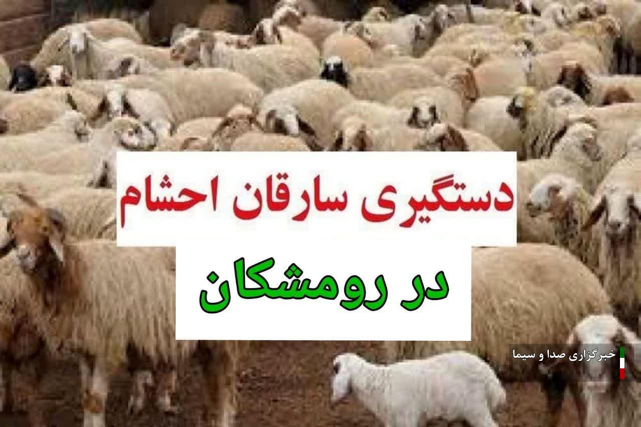 دستگيری سارقان احشام در رومشکان لرستان