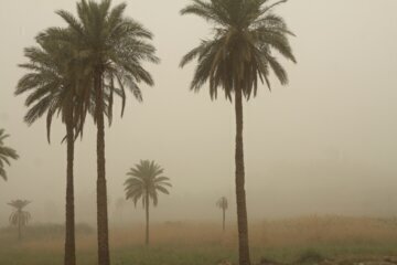 آبادان و خرمشهر در وضع نارنجی آلودگی هوا