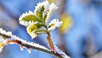 کاهش دمای هوا در استان زنجان