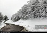 برف و سرما استان اردبیل را فرامی‌گیرد