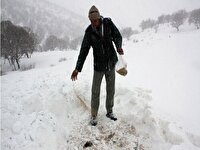 دادن غذا به حیوانات در فصل سرما ، ممنوع