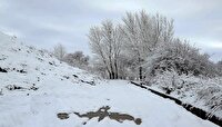 بارش هادر زنجان فردا شدت می‌گیرد