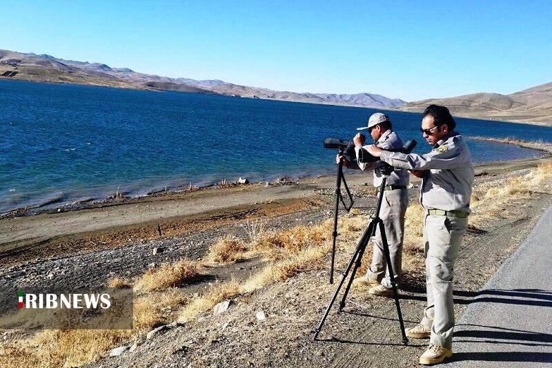 سرشماری ۶۰ هزار و ۶۶۰ قطعه پرنده در زیستگاه‌های شهرستان مهاباد