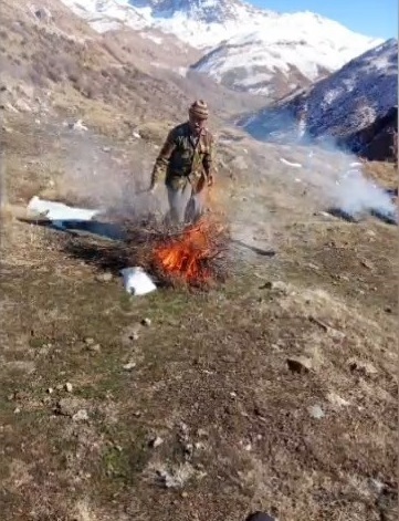 مبارزه با آفت جنگلی دارواش در پشتکوه موگویی فریدونشهر