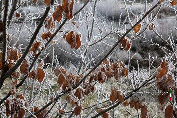 تداوم سوز سرما در آذربایجان‌غربی