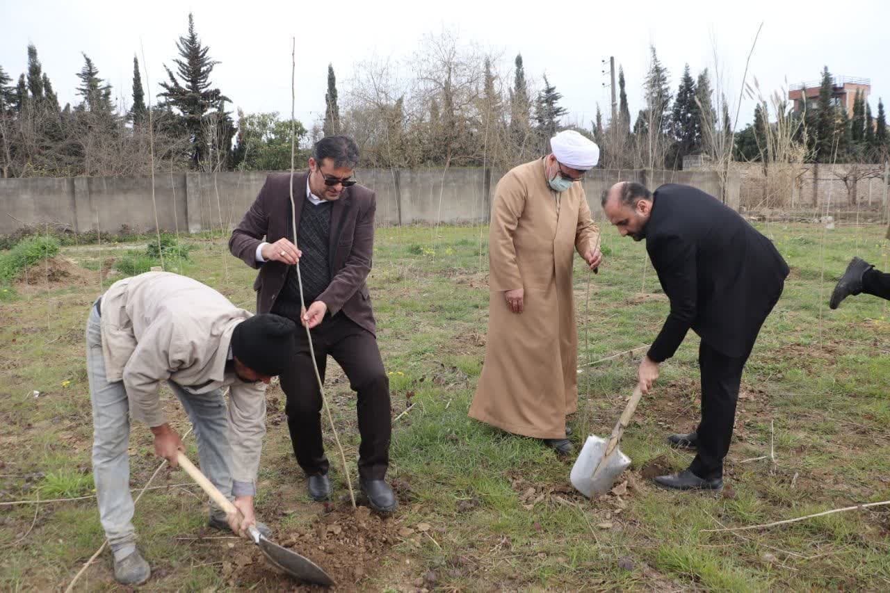 کاشت ۱۸ هزار اصله نهال در موقوفات و امامزاده‌های مازندران