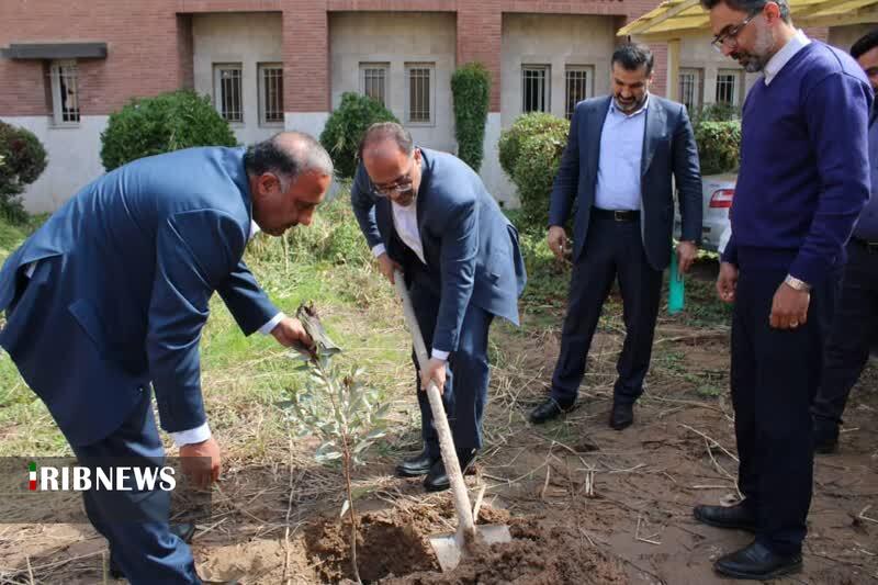 کاشت نهال در مجتمع قضایی باهنر اهواز با حضور دادستان مرکز خوزستان