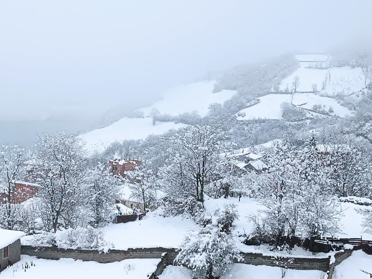 بارش برف و باران در مازندران