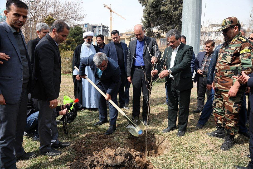 کاشت ۶.۵ میلیون نهال در خراسان رضوی